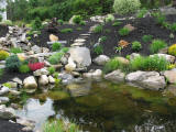 rock gardens and waterfalls